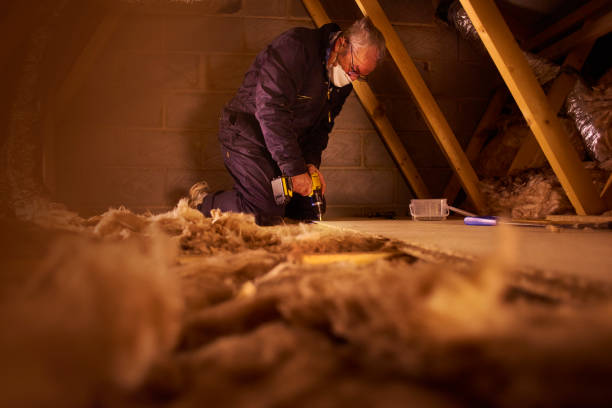 Best Insulation Maintenance and Repair in Mauston, WI